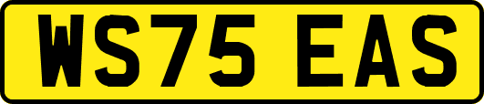 WS75EAS