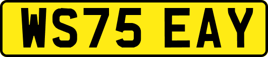 WS75EAY