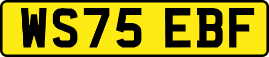 WS75EBF