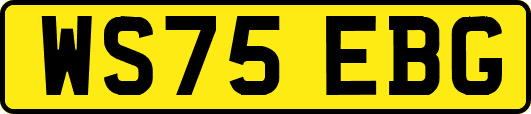 WS75EBG