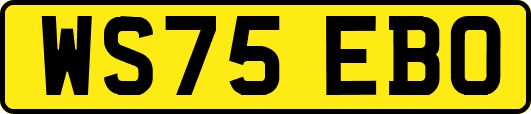 WS75EBO