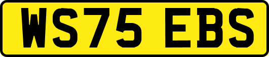 WS75EBS