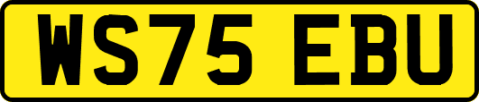 WS75EBU
