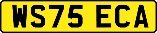 WS75ECA