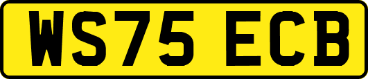 WS75ECB