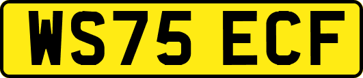 WS75ECF