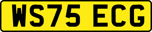 WS75ECG