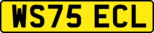 WS75ECL