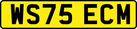 WS75ECM