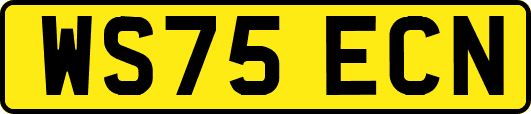 WS75ECN