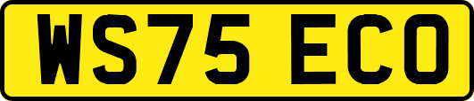 WS75ECO