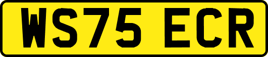 WS75ECR
