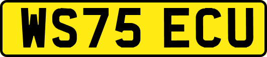WS75ECU