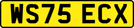 WS75ECX