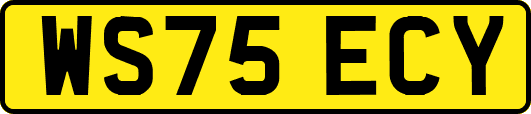 WS75ECY