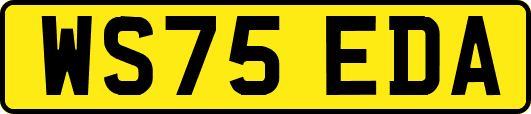 WS75EDA