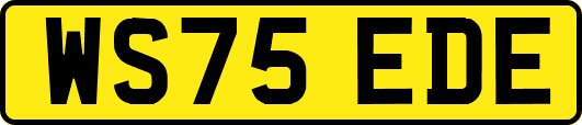 WS75EDE