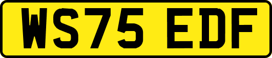 WS75EDF
