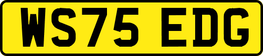 WS75EDG