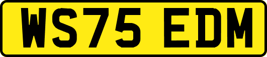 WS75EDM