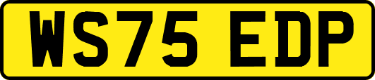 WS75EDP
