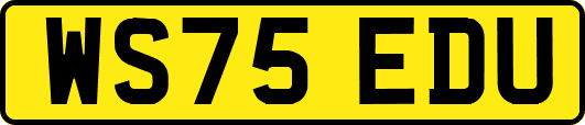 WS75EDU