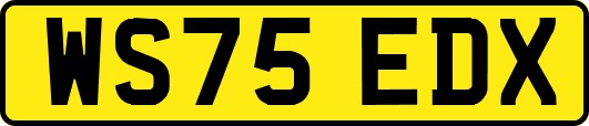 WS75EDX