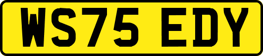 WS75EDY