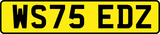 WS75EDZ