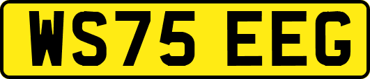 WS75EEG