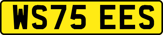 WS75EES
