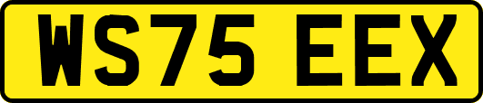WS75EEX