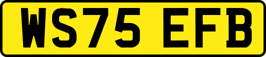 WS75EFB