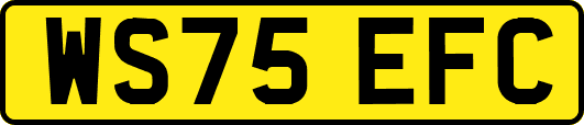 WS75EFC