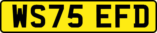 WS75EFD