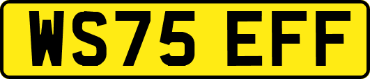 WS75EFF