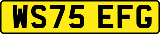 WS75EFG