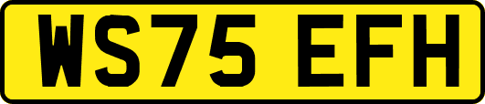 WS75EFH