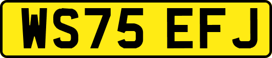 WS75EFJ