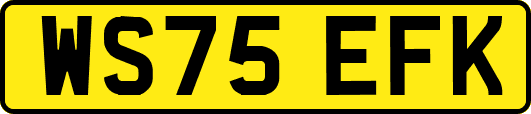 WS75EFK