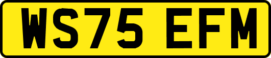 WS75EFM