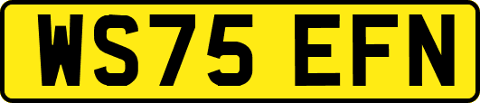 WS75EFN