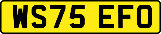 WS75EFO