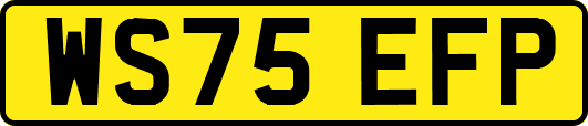 WS75EFP