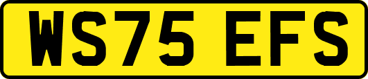 WS75EFS