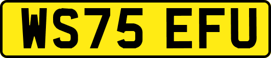 WS75EFU
