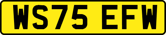 WS75EFW