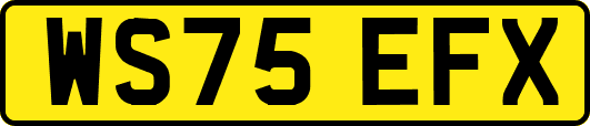 WS75EFX