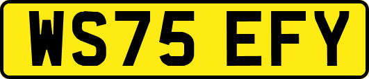 WS75EFY