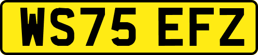 WS75EFZ